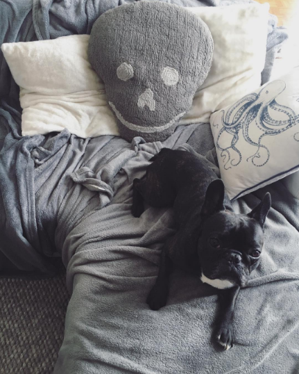 bouledogue-franc%cc%a7ais